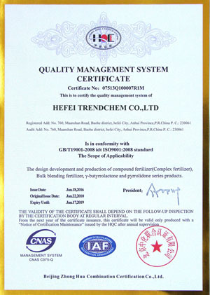 trendchem ISO certificate
